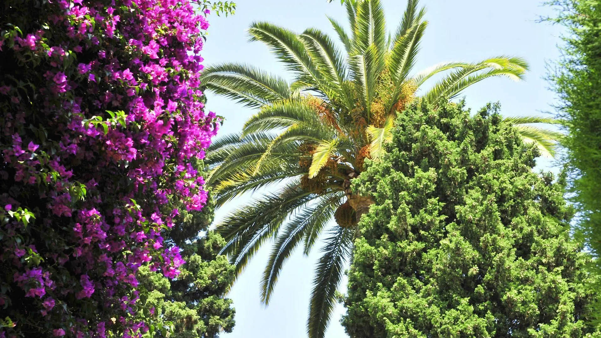 Hotel Mileade L'Orangeraie - Menton